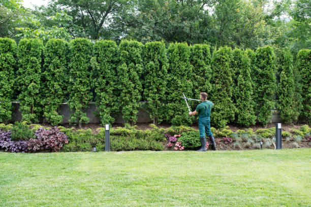 Lawn Maintenance Plans in Troy, AL